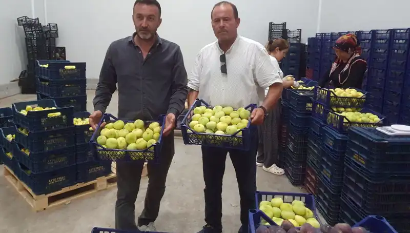 Mersinli Çiftçiler, İhraç ile Yüzlerini Güldüren Tarım Ürünlerine Kavuştu!