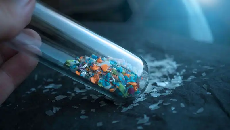 Mikroplastikler İnsan Beyninde Ne Gibi Zararlara Yol Açıyor?