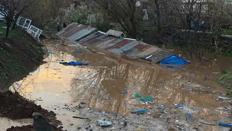 Bingöl’de Şiddetli Yağışlar Ahırları Sular Altında Bıraktı