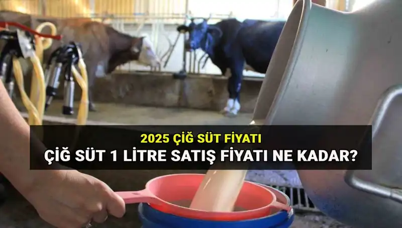 2025’te Çiğ Süt Fiyatı: Ulusal Süt Konseyi’nden Yeni Açıklamalar