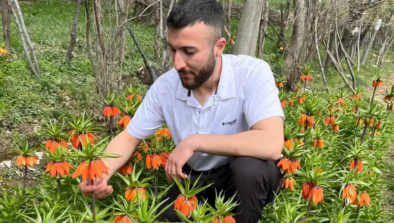 Ağlayan Gelin Çiçeği: 20 Günlük Ömrü, Koparmanın Cezası 244 Bin Lira!