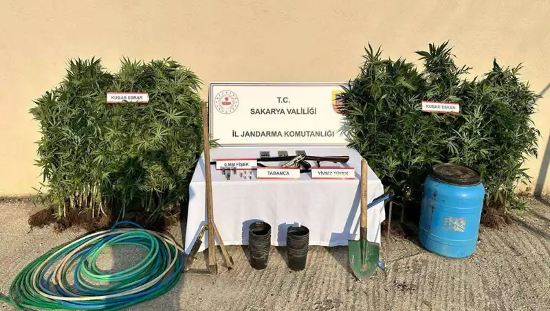 Sakarya'da Uyuşturucu Operasyonu: Güvenlik Güçlerinden Kritik Müdahale