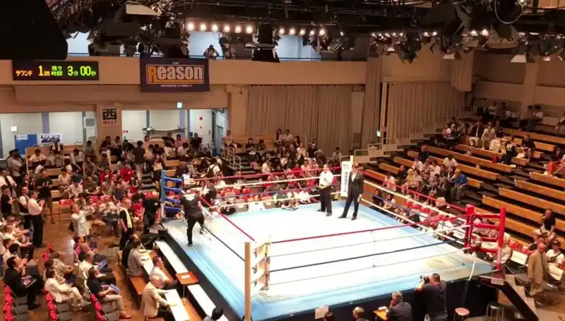 Japonya'daki Ölümcül Turnuvanın Ardındaki Korkunç İstatistikler ve İnsanlar