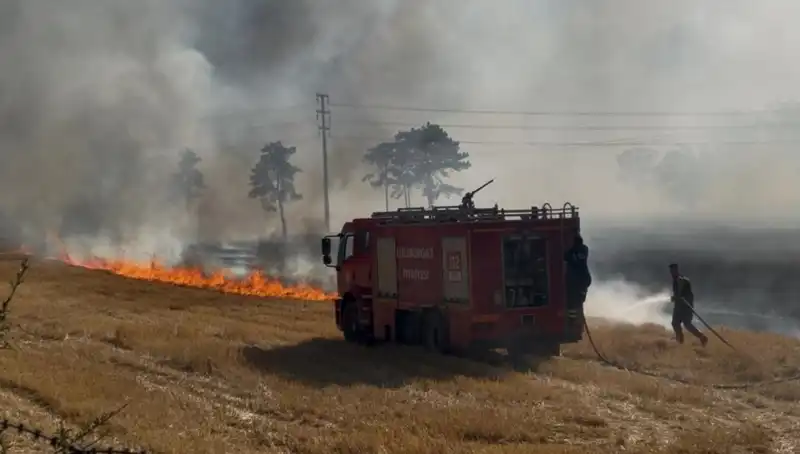 Kırklareli'nde Yangın Paniği: Anız Yangını Kontrolden Çıkmak Üzere!