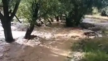Mersin'de Şiddetli Yağışların Ardından Sel Felaketi: Neler Yaşandı?